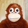 DCInside profile picture for @chimpanzee