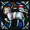 DCInside profile picture for @diocese