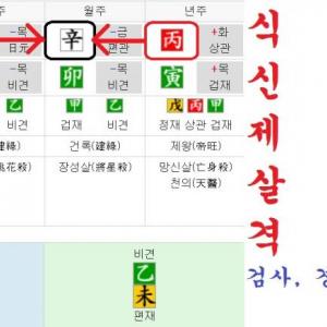 도화살이 없는데 인기많은 여자들] 식상, 관살 여명 - 200606~202109 역학 갤러리